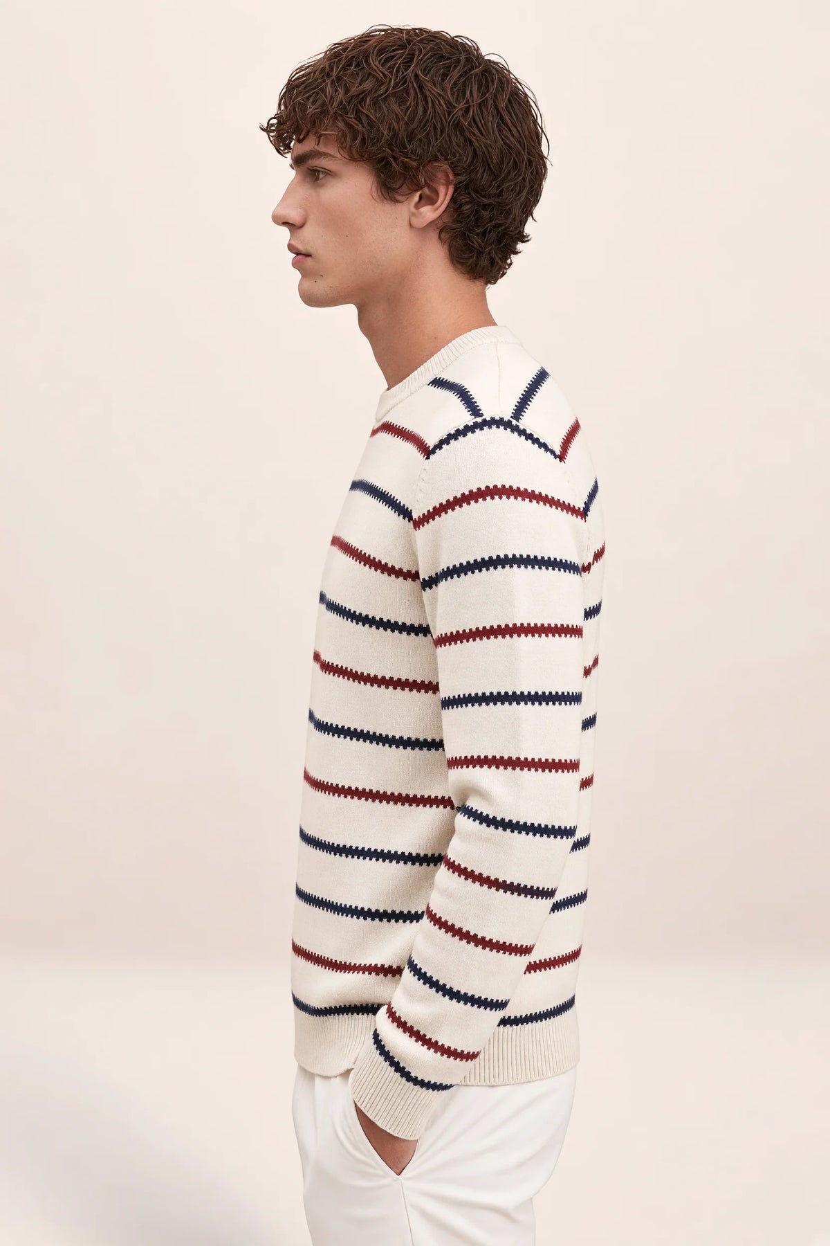 Men's Striped Knit Crewneck Sweater